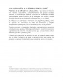 COMO LA CULTURA POLITICA ES REFLEJADA EN MI BARRIO