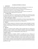 MATERIALES PÉTREOS NATURALES