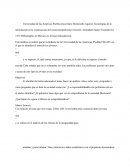 Este análisis se realizó por un estudiante de la Universidad de las Américas, Puebla(UDLAP), en el que se abordara el tema de los jóvenes