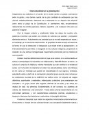 Imaginemos que estamos en el centro de la ciudad dando un paseo, caminamos entre la gente y nos damos cuenta de la gran cantidad de extranjeros que hay (chinos, estadounidenses, alemanes etc.)