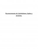 Reconocimiento de Carbohidratos, lípidos y proteínas. Introducción.