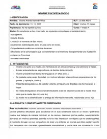 INFORME PSICOPEDAGÓGICO ANALISIS DESEMPEÑO ACADEMICO. Página 1