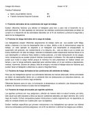 Existen diferentes factores que afectan al trabajador para bien o para mal al desarrollo de su actividad laboral. En este apartado se mencionan las distintas condiciones ambientales se deben de cumplir en el desarrollo de las actividades laborales con el