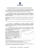 Argentina protagoniza un aumento de ventas en el sector automovilístico.