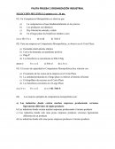 PAUTA PRUEBA 2 ORGANIZACIÓN INDUSTRIAL