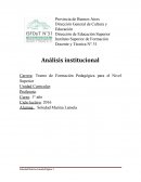 Analisis Institucional. Un análisis sobre el modo en que las personas habitan las instituciones hoy