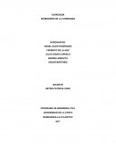 Inhibidores de la corrosion