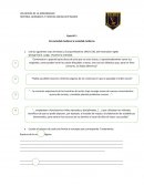 Prueba de edad moderna octavo basico.