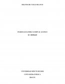 Ensayo Delitos Financieros