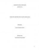 Mapa Conceptual Cultura Cientifica