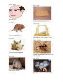 Ensayo sobre Abecedario en Qeqchi