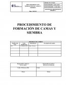 PROCEDIMIENTO DE FORMACIÓN DE CAMAS Y SIEMBRA