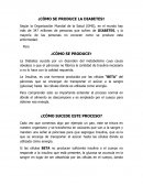 ENSAYO DE ¿CÓMO SE PRODUCE LA DIABETES?