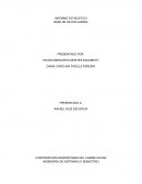 INFORME ESTADISTICO BASE DE DATOS CARS93