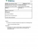 Actividad 12 Metodologia de optimización de procesos