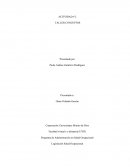 Actividad Taller conceptos. Legislación Salud Ocupacional