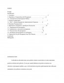 PRESUPUESTO PUBLICO - PARAGUAY