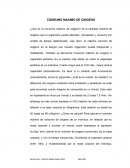 CONSUMO MAXIMO DE OXIGENO ¿Qué es el consumo máximo de oxigeno?