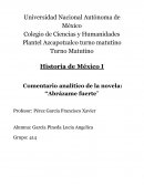 Comentario analítico de la novela: “Abrázame fuerte”