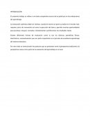 Mapa Conceptual Proceso de la Practica como sistema complejo