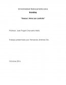 Ensayo: Amor por contrato