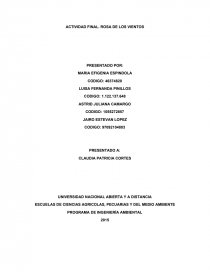 ENSAYO SOBRE ACT. FINAL ROSA DE LOS VIENTOS. Página 1