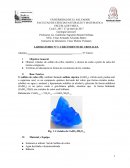LABORATORIO N° 1: CRECIMIENTO DE CRISTALES.