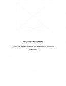 Calculo de la permeabilidad al agua Klinkenberg