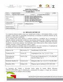 Formato de entrega de evidencias