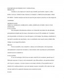 DESCRIPCION DE PRODUCTOS Y ESTRATEGIA