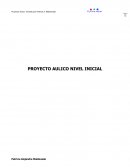 PROYECTO AULICO NIVEL INICIAL