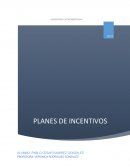 Planes de incentivos individuales