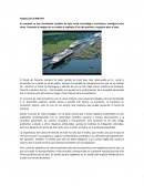 Trabajo En panamá se han visualizado cambios de tipo social