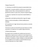 Trabajo Practico N°2 Construya una definición propia de emprendedurismo