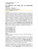 Las cadherinas como dianas para las enfermedades genéticas