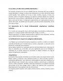 Ensayo sobre La vista y el oído como sentidos dominantes.