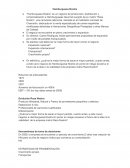 Se plantea cuál debía ser la mejor forma de hacer crecer el negocio.