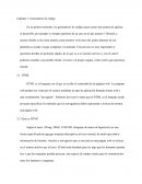 Capítulo 3. Generadores de código