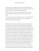 Accion reivindicatoria. Recuperación de la posesión del bien mueble o inmueble
