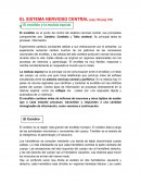 El Sistema Central-Biologia 2