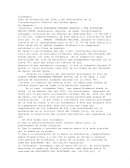 Juez de Protección del Niño y del Adolescente de la Circunscripción Judicial del Estado Apure