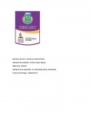 Asociaciones religiosas al lado de un templo dedicado a un Dios determinado y estaban integradas por tribus que vivían alrededor del templo.