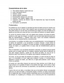 El problema es que la Iglesia no aprueba esa obra de teatro porque la versión que se hizo de ellos era un poco "más violenta"