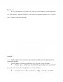 ANALISIS DE PUESTO DE TRABAJO