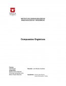 INSTITUTO DE CIENCIAS BIOLÓGICAS BASES BIOLÓGICAS Y BIOQUÍMICAS