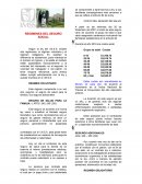 Los regimenes del seguro social en México