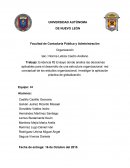 Evidencia #2 Ensayo donde analice las decisiones aplicables para el desarrollo de una estructura organizacional, red conceptual de los estudios organizacional, investigar la aplicación práctica de globalización