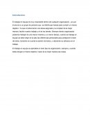 Trabajo en equipo Introducción.