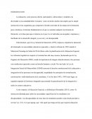 La educación, como proceso abierto, participativo, democrático y tendente a la diversidad