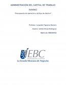 Resumen de la Administración del Capital de Trabajo